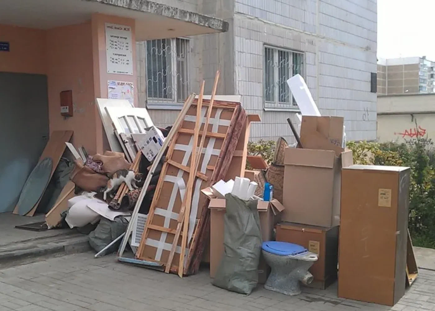 Профессиональный вывоз мусора из квартиры в Волжском в октябре
