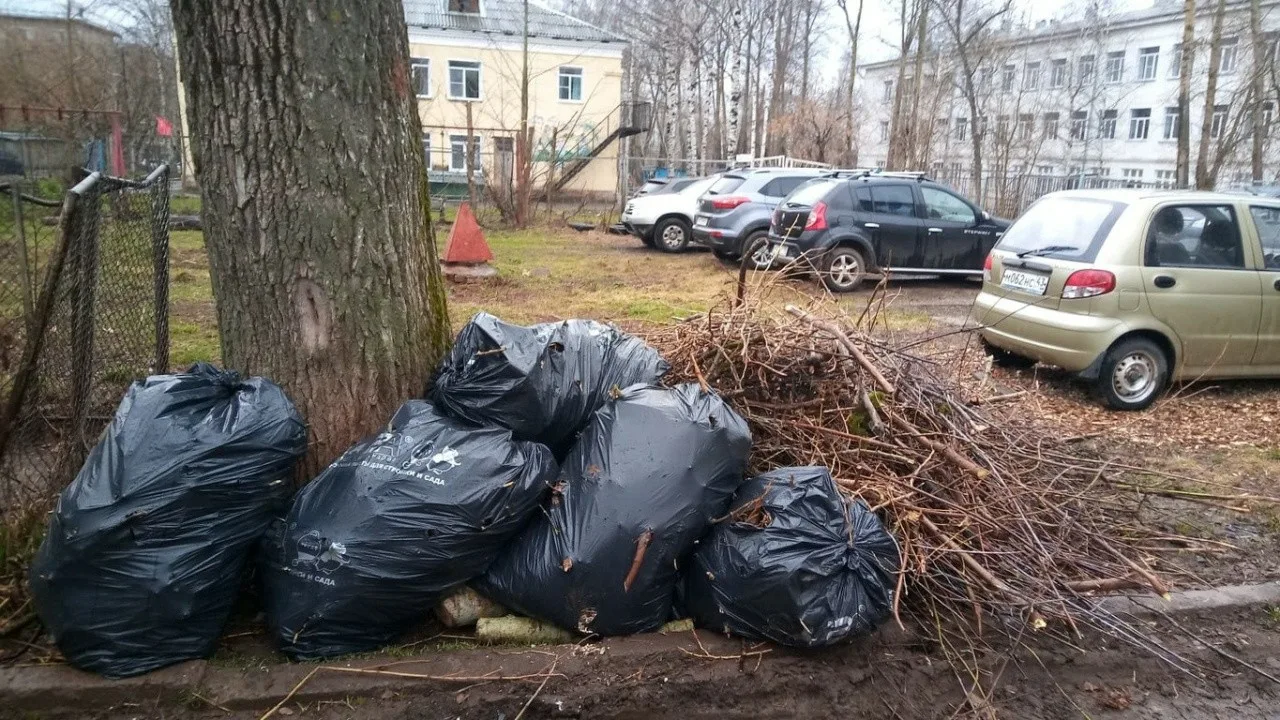 Вывоз мусора после субботника в Волжском от ПроМусор – уборка и утилизация отходов от 2381 руб
