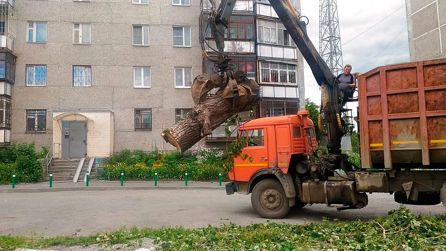 Вывоз спиленных веток и деревьев в Волжском от ПроМусор: порубочные остатки, утилизация, цена от 2938 руб