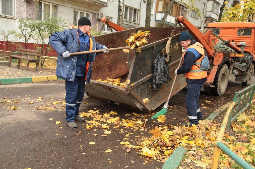 Вывоз опавшей листвы и растительного мусора в Волжском от ПроМусор – цена от 4559 руб., быстрая уборка и утилизация